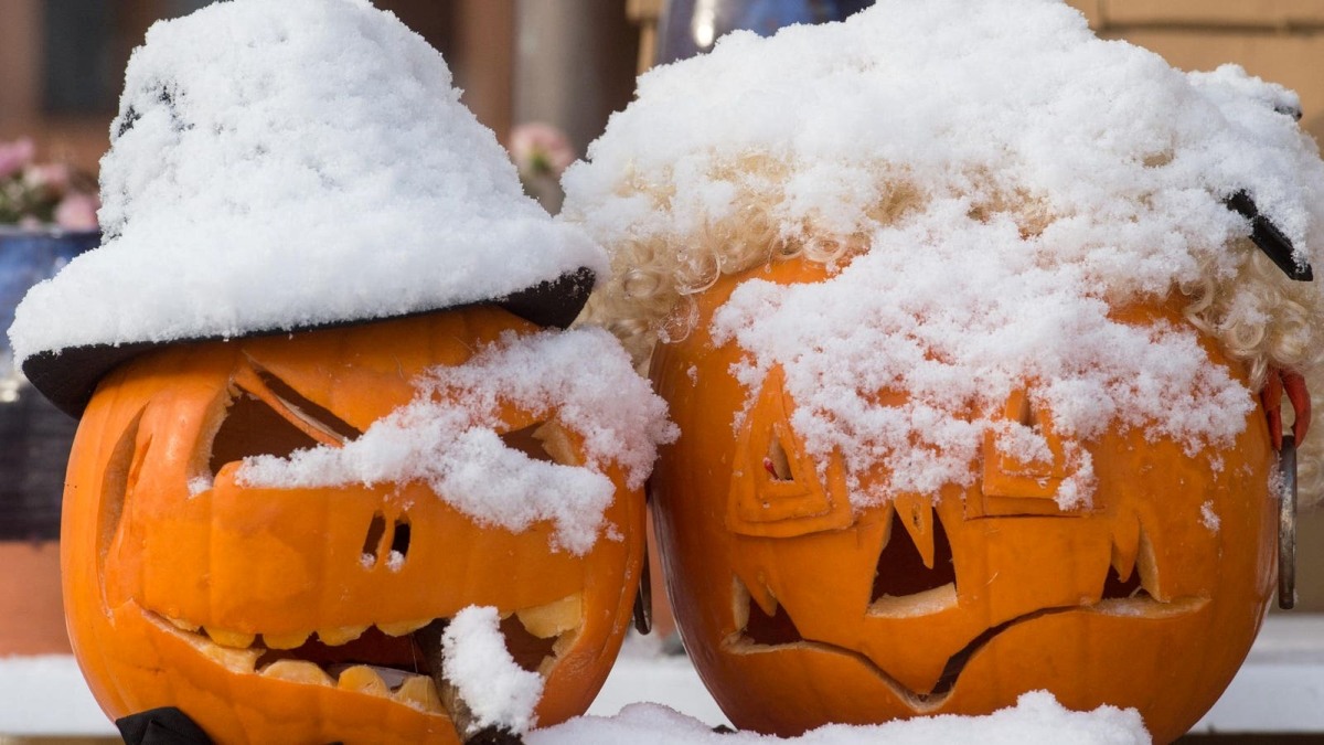 Halloween Warmup Station